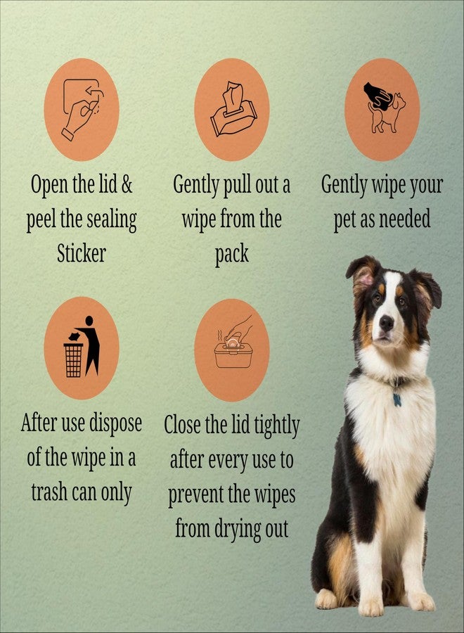 Nootie Anti Bacterial Pet Wet Wipes for Dogs,Paw Cleaning, and Daily Care Natural Extracts & Actives 15"x 20" 100 Wipes (Pack of 6) - Image 4
